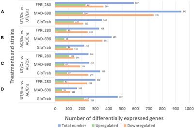 Comparative Transcriptomics During Brown Rot Decay in Three Fungi Reveals Strain-Specific Degradative Strategies and Responses to Wood Acetylation